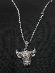 Chicago Bull Pendant + Necklace | 24 Rope Chain Stainless Steel - Picture 1 of 6