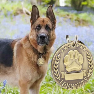 Customizable Engraved Collar Pendant Custom Pets ID Tag Metal Dog Cat Nameplate - Picture 1 of 8