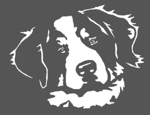 1-7x9 Zoll Schablone, (PC-44) Berner Sennenhund (6mil) ** *** - Bild 1 von 2