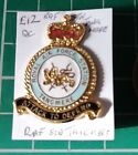 Raf Station Tangmere (queens Crown). Tie Lapel Pin