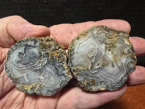 NEW Awesome "POLISHED WHOLE" Picacho Agate Nodule, Great Color, Mexico - Picture 1 of 5