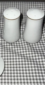 Golden Reflection Wh/Gold Trim Porcelain! Salt & Pepper Shaker - Picture 1 of 6