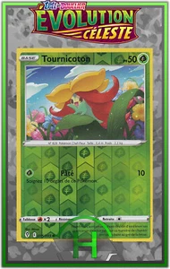 Tournicoton Reverse - EB07:Évolution Céleste - 015/203 - Carte Pokémon FR Neuve - Picture 1 of 1
