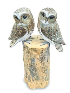 Pair Owl Bird Intricate Wooden Ornament Figurine Balinese HandPainted Strigiform - Picture 1 of 4