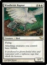 Windbrisk Raptor NM MTG Shadowmoor Magic 2B3