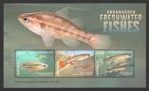 ENDANGERED FRESHWATER FISHES 2025 - MNH MINIATURE SHEET (B16) - Picture 1 of 1