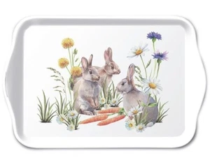Tablett, Tray CARROT TREAT Hasen 13x21cm Ambiente | Ostern - Bild 1 von 1