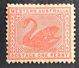 1906 Western Australia 1d Rse Pnk Swan stamp P12.5X12 WMK Crn/A Upright Mint £24 - Bild 1 von 2