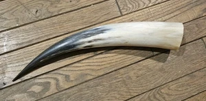 17" Bull Horn Cow Horn STEER LONGHORN horn TAXIDERMY Polished - Picture 1 of 3
