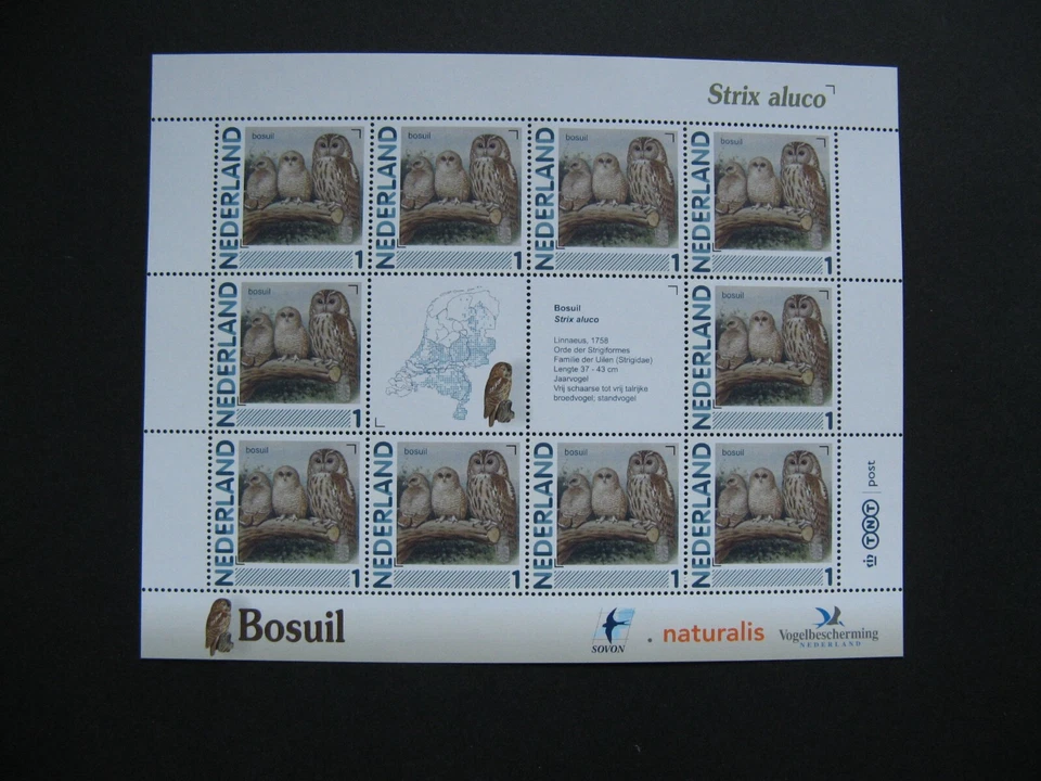 NETHERLANDS, personelstamps minisheet owl Strix Aluco 2011, MNH - Image 1 of 1