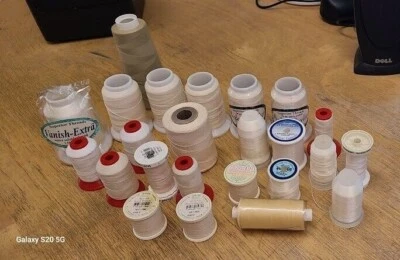 Hilo Máquina Bordar en Colores Blanco y Neutro Surtido Lote de 24 Foto 1 de 4