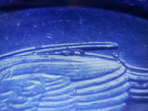2018 P Quarter Error Reverse Die Chip Cover