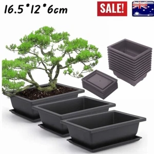 10Packs of Bonsai Training Pots Plastic Bonsai Plants Growing Pot with Tray - Picture 1 of 9