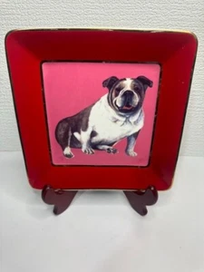 Decorative Bull Dog Red Plate - Picture 1 of 5