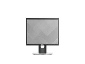 Monitor Dell P1917S (19") 48,3 cm - Imagen 1 de 2