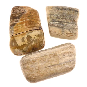 Three AZ Petrified Wood Tumbled Stones Healing Crystals Past Lives Third Eye - Picture 1 of 1
