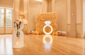 Pampas Wall Curtain To Hire Occasion Backdrop Decoration Yorkshire - Picture 1 of 4