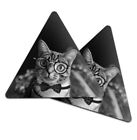2x Triangle Coaster - BW - Geek Cat with Eye Glasses Bowtie #37637