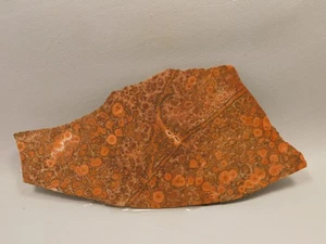 Birdseye Rhyolite Rough Rock Poppy Jasper Stone Slab #O4 - Picture 1 of 6