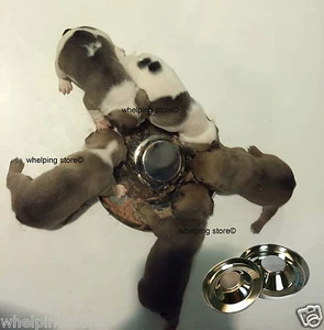 Puppy Weaning Whelping Store Untertasse Napf 29cm oder 38cm Whelping Hundefutter Wasser - Bild 1 von 1