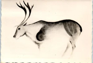 Font de Gaume Cave, Reindeer, Prehistoric Cave Paintings Postcard - Picture 1 of 2