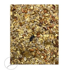 2.5 kg Premium geschält Wildvogel Fettfutter getrocknete Mehlwürmer avi-complete - Bild 1 von 2