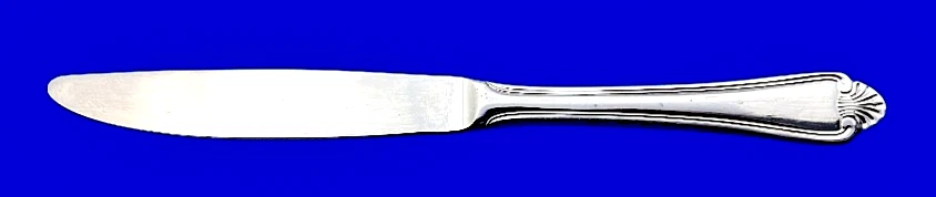 Cubiertos de acero inoxidable brillante Pfaltzgraff BISCAYNE -- Cuchillo de cena 8 3/4" Foto 1 de 1