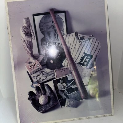 Ty Cobb The Georgia Peach 1993 11"x14" sin. Impresión de 8 póster MLB nuevo, sellado Foto 1 de 3