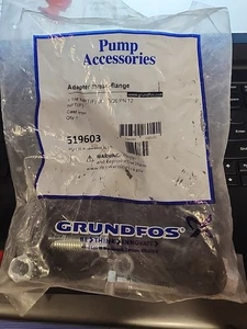 Par de bridas de bomba de hierro fundido Grundfos Pumps Corp 519603 1-1/4" GF 15/26 (NPT) - Imagen 1 de 3