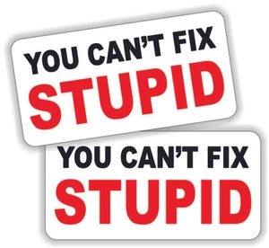 2- You Cant Fix Stupid Funny Hard Hat Stickers \ Construction Decals Laborer - Picture 1 of 1