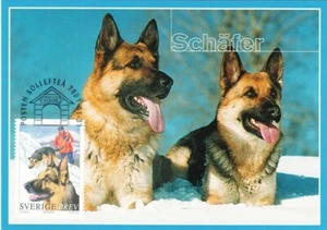 Rescue Dogs German Shepherd Police Dogs Schäfer Sweden Maxi FDC 2001 - Picture 1 of 1