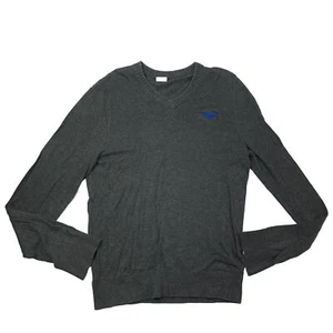 Suéter Hollister Suave Ajustado Ligero Tejido Cuello en V Gris Para Hombre Talla L - Imagen 1 de 4