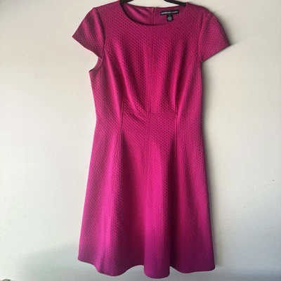 Women’s Pink Knee Length Dress 10 Pleated Fit & Flare American Living - Image 1 of 4