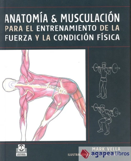 ANATOMÍA & MUSCULACIÓN para el entrenamiento de la fuerza y la condición física  - Imagen 1 de 1