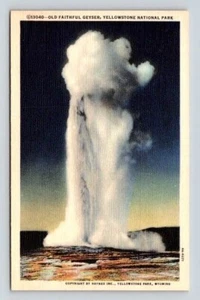 Wyoming Yellowstone National Park Old Faithful Geyser - Haynes H-271 Postcard - Picture 1 of 2