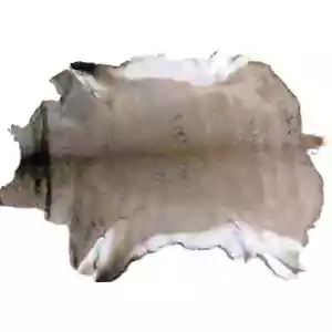 Animal HAIR-ON ~ PIEL DE CIERVO avg. piel 8 - 10 sq. ft. ~ - Imagen 1 de 1