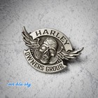 Winged Skull Pin ~ Harley Davidson Owners Group H.O.G. 