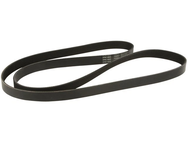 Cinturón principal multi costilla Dayco 14FDJV42 para Dodge Viper 1992 1993 1994 1995 1996 Foto 1 de 1