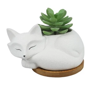 Cute Fox Succulent Planter Pot with Drainage Tray, Small White Ceramic Cactus... - Picture 1 of 7