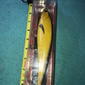 Neu im Karton. Lucky Craft Angelköder LL Pointer 200 REGAL 5 - Bild 1 von 7