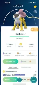 Raikou - Pokèmon Go - Scambio registrato o di 30 giorni - Foto 1 di 2