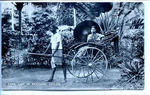 CP Ceylan - Tamil Lady in Rickshaw - Ceylon - Imagen 1 de 2