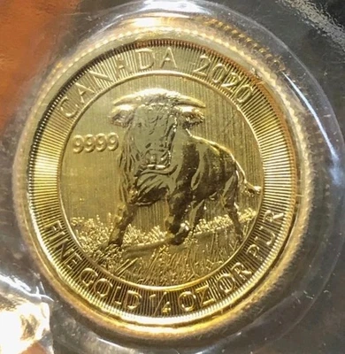2020 1/4 oz .9999 Canadian Gold Canadian Bull Sealed In Plastic! Beauty!!🐂🪙 - Image 1 of 2