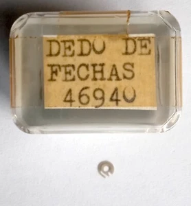 1 Stk Orient - Datum Zeiger - Für Cal. 46940 Teil Uhr Ersatz Vintage NOS - Bild 1 von 5