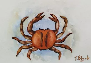 ORIGINAL AQUARELL - Krebs. - Picture 1 of 1