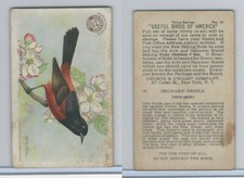 J7, Church & Dwight, Useful Birds America 3rd Ser., 1922, #13 Orchard Oriole