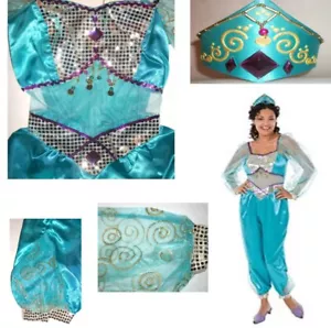 DISNEY ALADDIN JASMINE COSTUME WITH TIARA DELUXE ADULT Large NIP - Picture 1 of 7