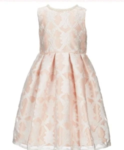 Jayne Copeland Little Girl's Decorative Lace Overlay Fanciful Dress-Size-6X - Picture 1 of 3
