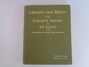 Lehmann's med. Atlanten Band 3 Deskriptive Anatomie 2. Teil - Joh. Sobotta 1904 - Bild 1 von 10