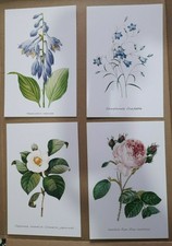 Set STOK LOTTO DI 4 CARTOLINE NUOVE CON FIORI BELLE! (Flowers Postcards)